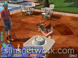 The Sims 2