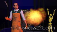 The Sims 3 Ambitions