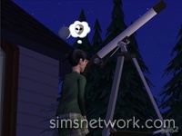 The Sims 2